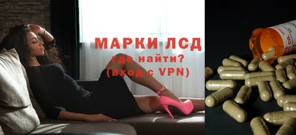 гидра Володарск