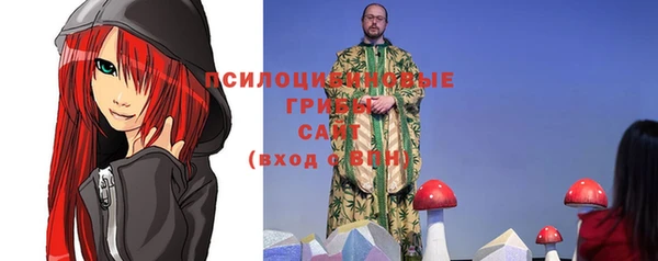 гидра Володарск
