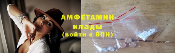 гидра Володарск