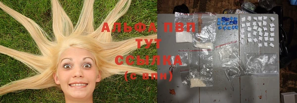 гидра Володарск