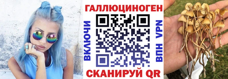 продажа наркотиков  Лобня  Галлюциногенные грибы ЛСД 