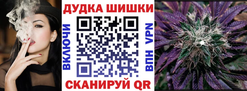 Канабис сатива  Лобня 